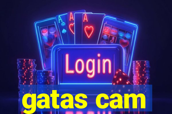 gatas cam